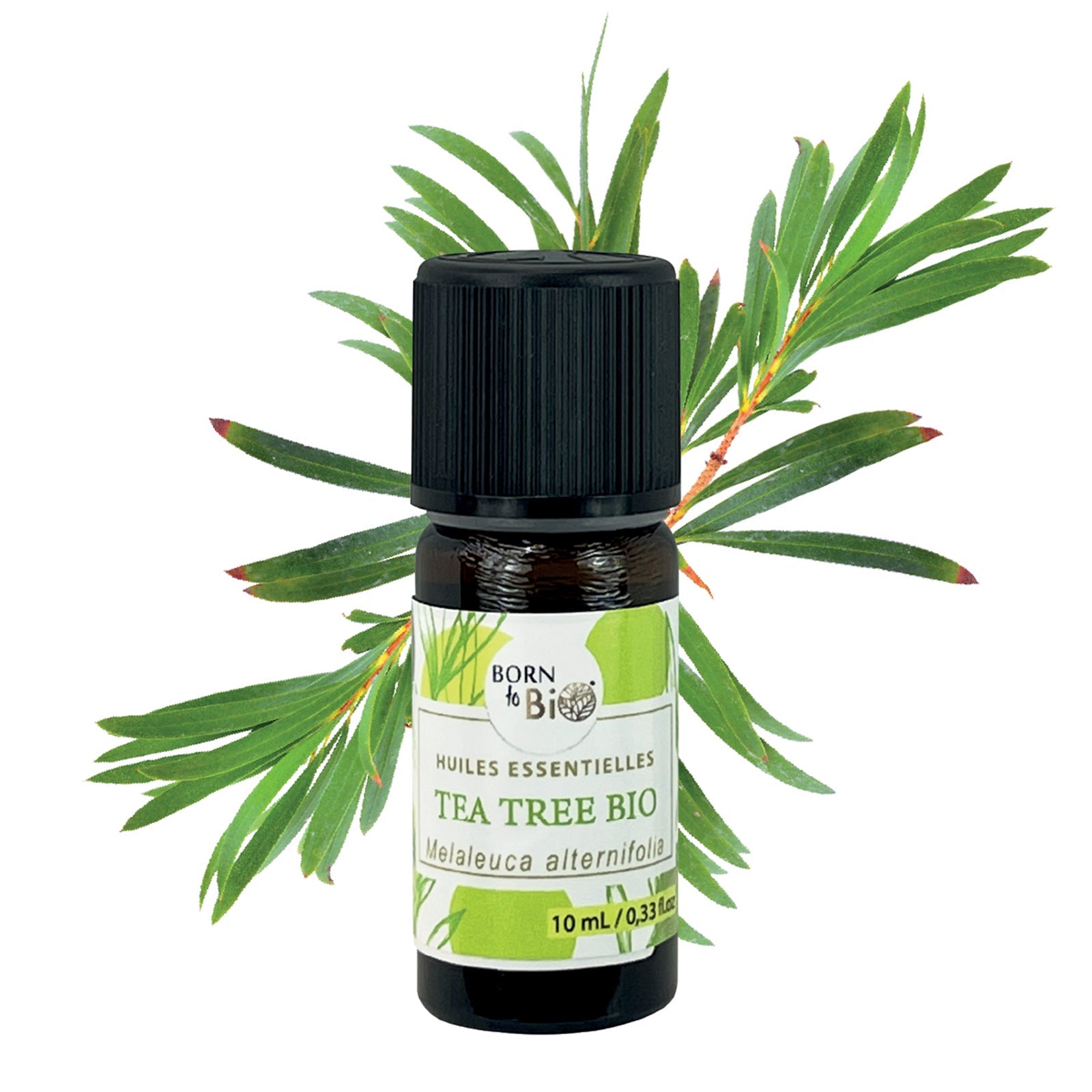 Certified Organic Tea Tree Essential Oil-0